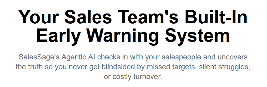 Изображение для сервиса SalesSage номер один