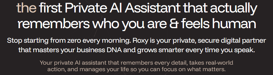 Изображение для сервиса Roxy AI номер один