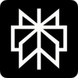 Логотип Perplexity