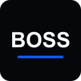Логотип BOSS Console