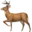 Логотип DeerFlow