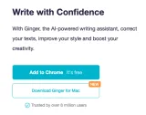 Логотип Ginger