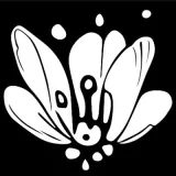 Логотип Pollinations
